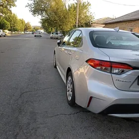 Toyota Corolla 2019
