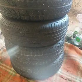teker disga