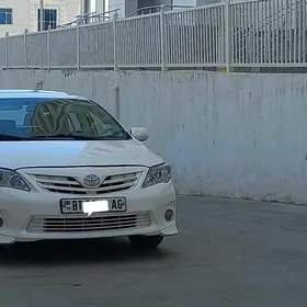 Toyota Corolla 2011