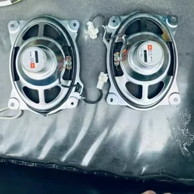 jbl okuz radnoy