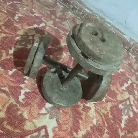 gantel