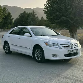 Toyota Camry 2010