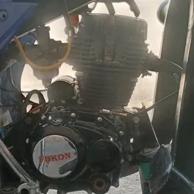 Fekon FK200-14G 2017