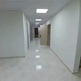 Arende podwal Gurtly 150m²
