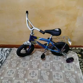 caga Tigir