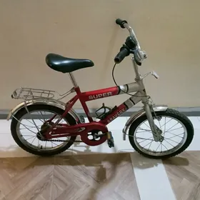 tigir тигир
