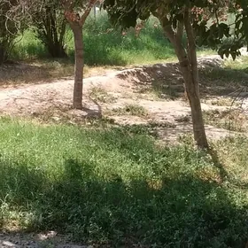 Turkmenabat satılık daça