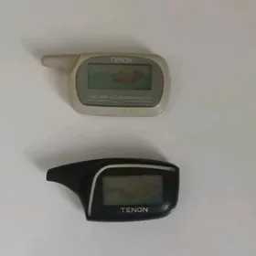 Tenon pultlar