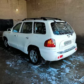 Hyundai Santa Fe 2002
