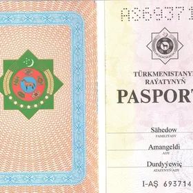 Pasport yitdi