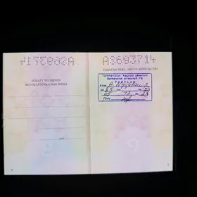 Pasport ýitirdim