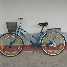 YAPONKA TIGIR