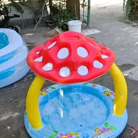 Бассейын