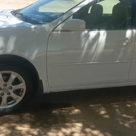 Camry diska