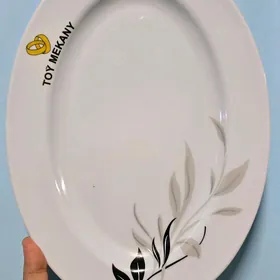Satlyk pasuda