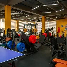 PPeri Fitnesse massažist gere