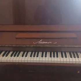 pionina saz guraly