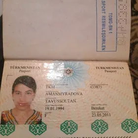 passport tapyldy