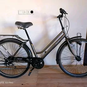 27,5 yapon velik