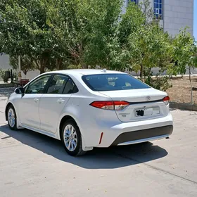 Toyota Corolla 2020