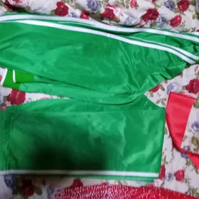 Одежда