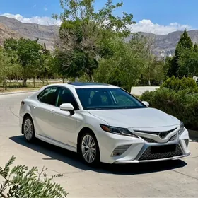 Toyota Camry 2019