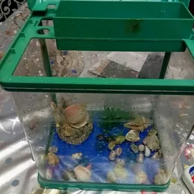аквариум