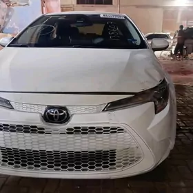 Toyota Corolla 2020
