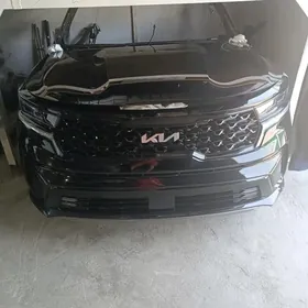Hyundai Kia Morda