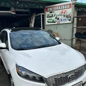 Hyundai Kia RAZBOR