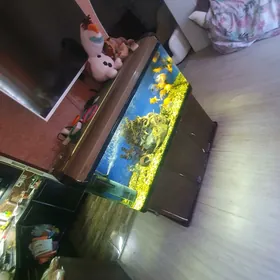 аквариум