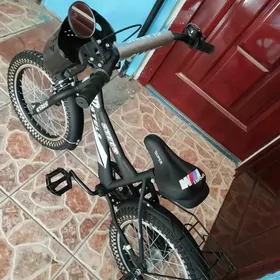 Çaga Tigir 16 lyk