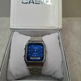 Casio sagat