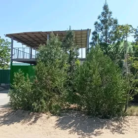 Çoganly Satlyk jaý Eýesinden