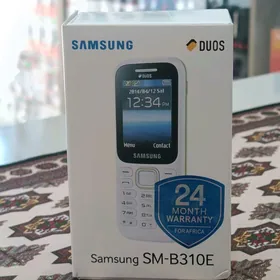 SAMSUNG B310