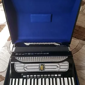 Akkardeon akardeon akardiýon