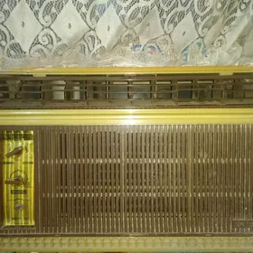 кандицанер бк