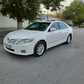 Toyota Camry 2010