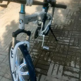 BMW WELIK