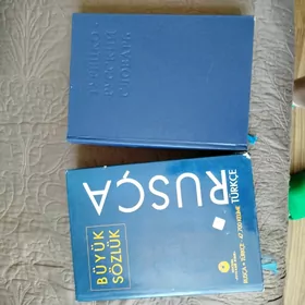 словари