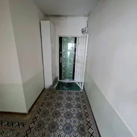 satlyk jay şapak