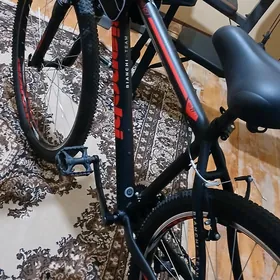welosiped Bianchi aspid 29.