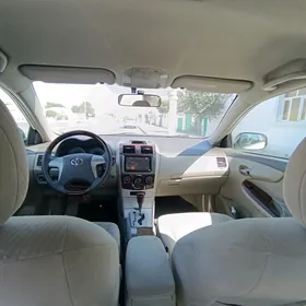 Toyota Corolla 2010
