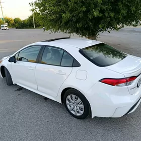 Toyota Corolla 2020