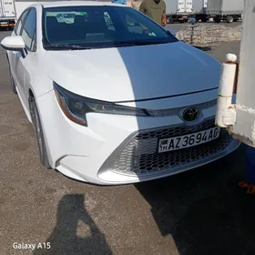 Toyota Corolla 2019