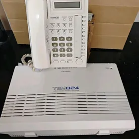 Panasonic tem824
