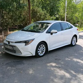 Toyota Corolla 2020