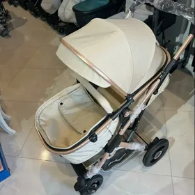 caga kalyaska