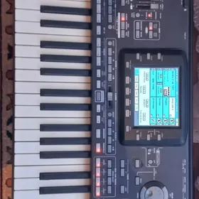 KORG PA 3X Ulusy