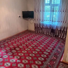 kreine jaylar